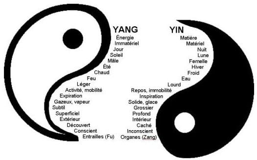 Yin Et Yang Origine Histoire Symbole Et Vraie Signification